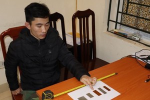 Hanoi city’s leader asks to strictly handle case of 3-year-old abused girl