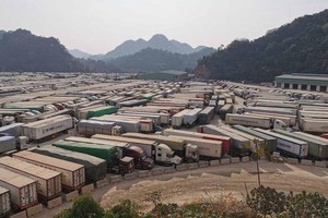 Vietnam needs to seek durable solutions for farm produce export to China 