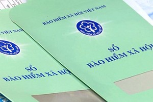 Enterprises in HCMC owe US$73 million in social insurance payment