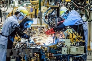 Vietnam likely to get better rating position in future: expert