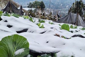 Northern region experiences cold temperature without rain 