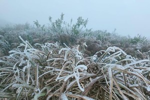 Meteorologists recommend proactively dealing with cycle of natural disasters