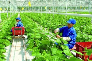 FDI projects must not disadvantage farmers