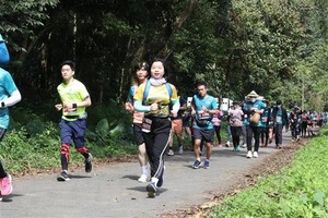 2,500 athletes participate in running race through Cuc Phuong forest 