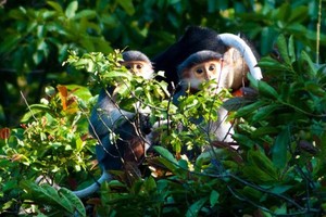 Ninh Thuan, heritage road