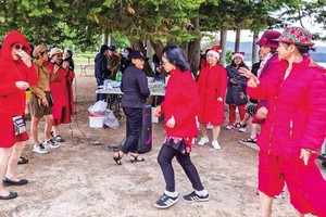 HCMC to organize activities to learn about Vietnamese overseas