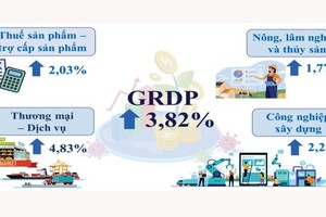 HCMC’s GRDP gains 3.82 percent in first half of 2022