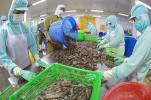 Seafood export takes larger bite out of foreign markets