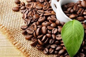 Vietnam sees more chances for coffee exports to US