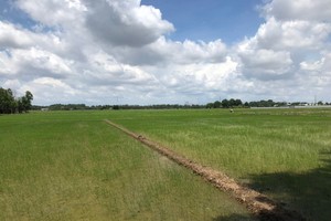 Dong Nai hands over 750 hectares of public land to Land Fund Development Center