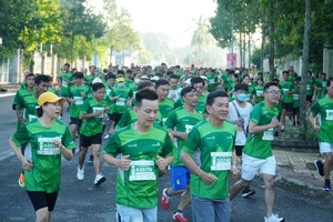 8,500 domestic, international runners join Mekong Delta Marathon