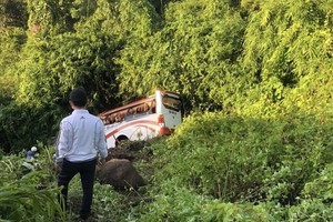 Passenger coach plunges off Dai Ninh pass in Binh Thuan Province