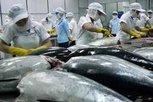 Tuna exports predicted to surge amid high inflation