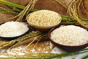 Vietnam’s rice exports jump 20% in seven months
