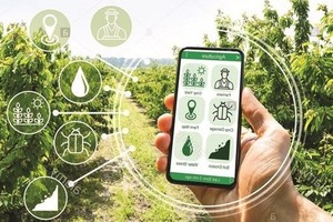 Vietnam accelerating digital transformation in new-style rural building