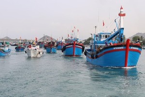 Kien Giang, Ca Mau coordinate in combating IUU fishing