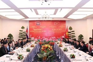 Vietnam coordinates with Cambodia to repair, restore friendship monuments