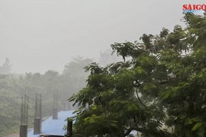 Storm Ma-on slams mainlands of Hai Phong, Quang Ninh 