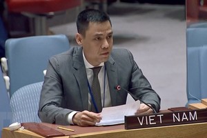 Vietnam proposes UNDP be creative in mobilising resources for development