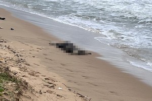 At least six bodies found drifting off Phu Quoc seaside