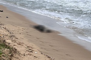 Chinese Identification card found in body drifting in Phu Quoc