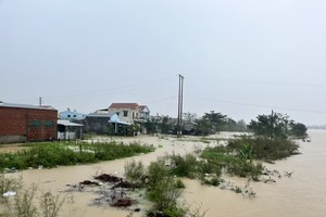 Quang Ngai proposes US$22.6 mln in emergency assistance after natural disasters
