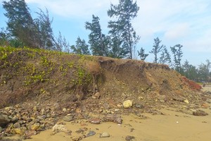 High tide causes coastal erosion in Quang Ngai Province