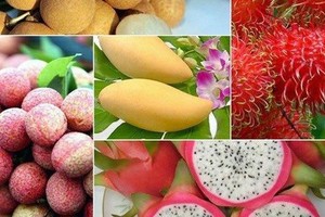 Fruit exports to bring home over US$5 bln by 2025