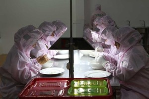 Vietnam bird’s nest to be officially exported to China