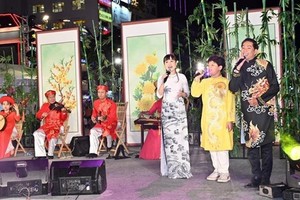 Ho Chi Minh City festival highlights world cultures