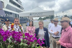 Airlines, travel agencies strengthen exploitations for upcoming Tet holiday