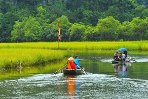 Tourism sector forecast to bounce back to pre-pandemic levels