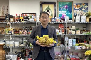 Quality key for Vietnamese longan to Japanese market: expert