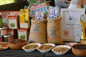 Buon Ma Thuot strives to become world’s coffee city