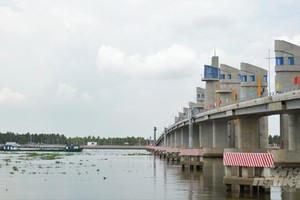 Cai Lon, Cai Be saltwater prevention sluices need to be operated effectively