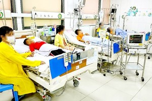 Abnormal surge of dengue fever cases in Mekong Delta