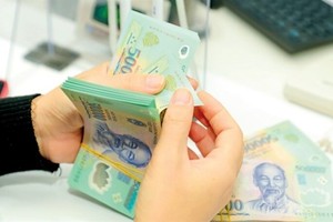 Vietnam’s banking system shows signs of money surplus