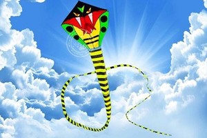 Giant snake-shaped kite to fly in sky of An Giang