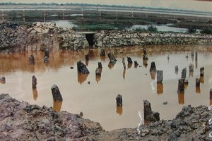 Bach Dang pile yard added to dossier seeking UNESCO recognition