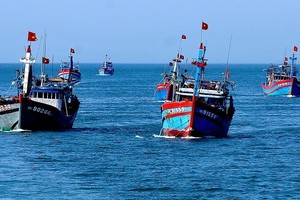 Quang Tri tightens fishing vessel monitoring to fight IUU fishing