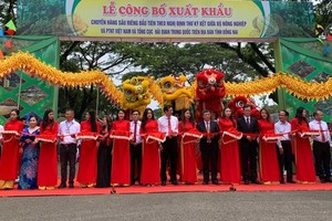 Dong Nai Province exports 360- ton durian batch to China