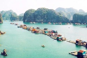 Ha Long Bay - Cat Ba Archipelago set to nominate as world heritage site