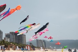 Da Nang expected to lure thousands of tourists via summer festival this year
