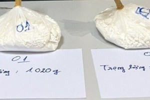 Female foreigner carries over 2.3 kilograms of drugs to Vietnam