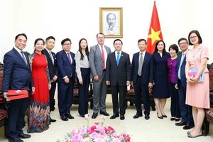 Vietnam, Japan foster cooperation in renewable, clean energy projects
