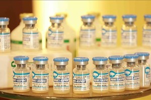 Made-in-Vietnam ASF vaccines to be exported to Philippines, Indonesia