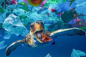 Vietnam, Japan cooperate in ocean waste management