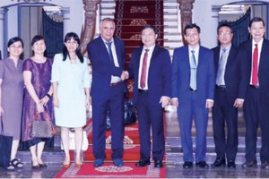 HCMC wants to boost cooperation with Cuba’s Artemisa province: official