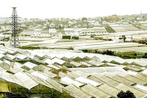 EU's Carbon Border Adjustment Mechanism brings both challenges, opportunities