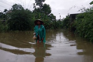 Thua Thien Hue Province suffers deluge after torrential rains
